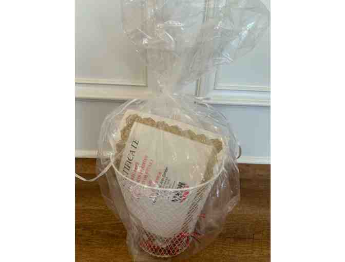 One Month of Martial Arts Lessons at Vision Martial Arts