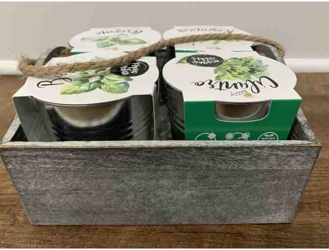 Herb Garden Grow Kit