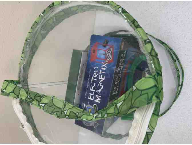 Bugs and Electromagnetic Science Kit!