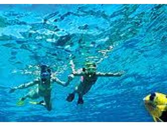 Four Winds Catamaran Snorkel Cruise