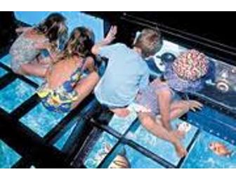 Four Winds Catamaran Snorkel Cruise