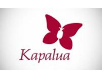 Two Rounds of Golf - KAPALUA