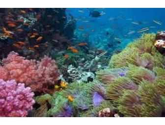 Ocean Excursion for (2)