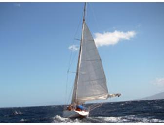 Ocean Excursion for (2)