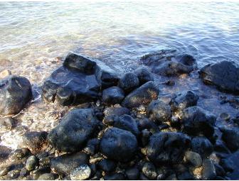 Explore Historic Lahaina