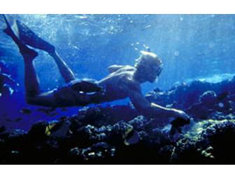 Discover Ka'anapali Snorkel Sail