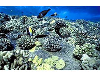 Discover Ka'anapali Snorkel Sail