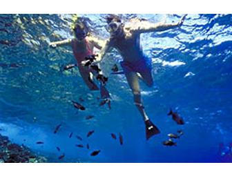 Discover Ka'anapali Snorkel Sail