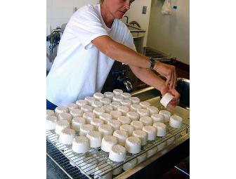 GRAND DAIRY TOUR for Two @ Surfing Goat Dairy