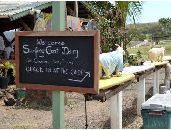 GRAND DAIRY TOUR for Two @ Surfing Goat Dairy