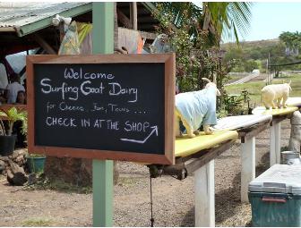 GRAND DAIRY TOUR for Two @ Surfing Goat Dairy