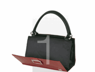 MICHE bag + 2 fabulous shells!!!