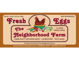 1 Year Supply of Fresh Eggs!!