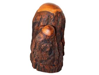 LIMBOX by Raymond C. Pelton