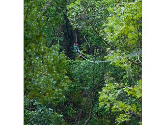 (1) 6-Line Treetop Canopy Tour