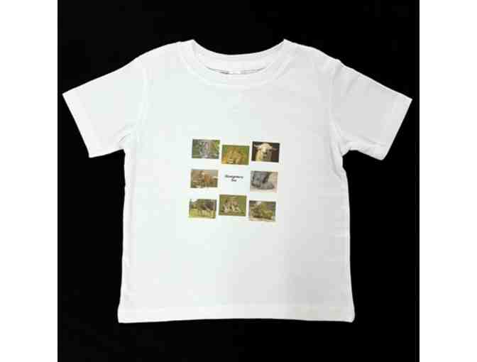 Clothing: Zoo Animals T-shirt, Toddler / 24 Months - Photo 1