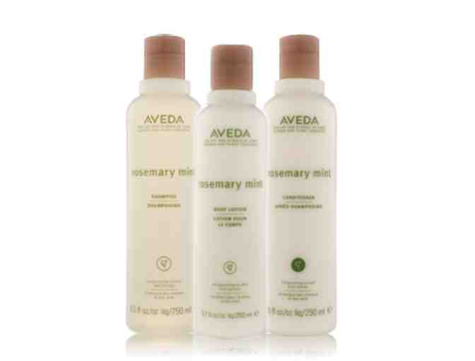 Aveda Refresh Mint Gift Set