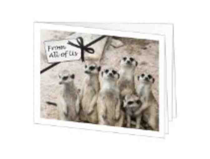 $50.00 Amazon Gift Card