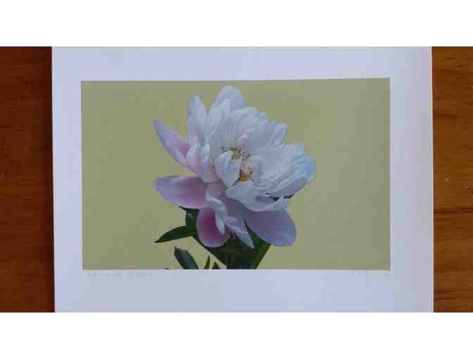 Five Flower Prints by Anne-Claude Cotty