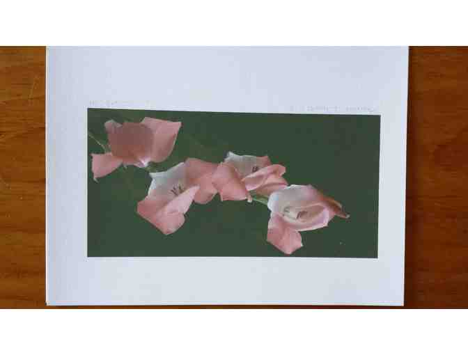 Five Flower Prints by Anne-Claude Cotty