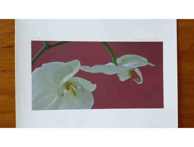 Five Flower Prints by Anne-Claude Cotty