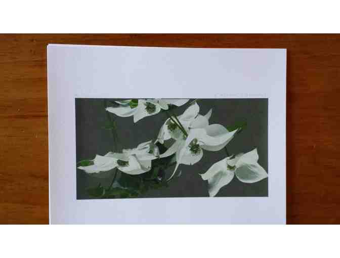 Five Flower Prints by Anne-Claude Cotty