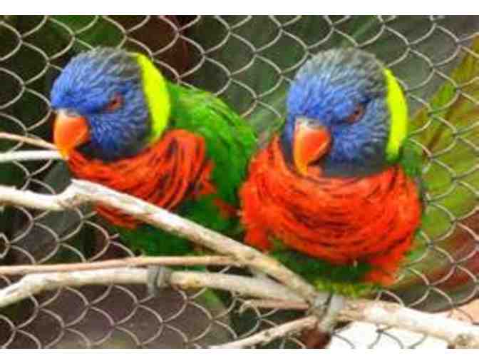 Denver Zoo Family-Four Pack