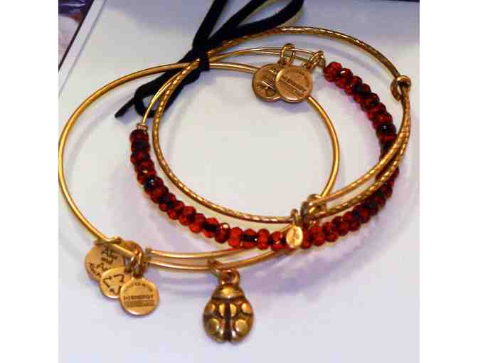 Exclusive Set of 3 Expandable Bangles from Alex and Ani's Charity by Design