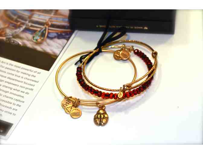 Exclusive Set of 3 Expandable Bangles from Alex and Ani's Charity by Design