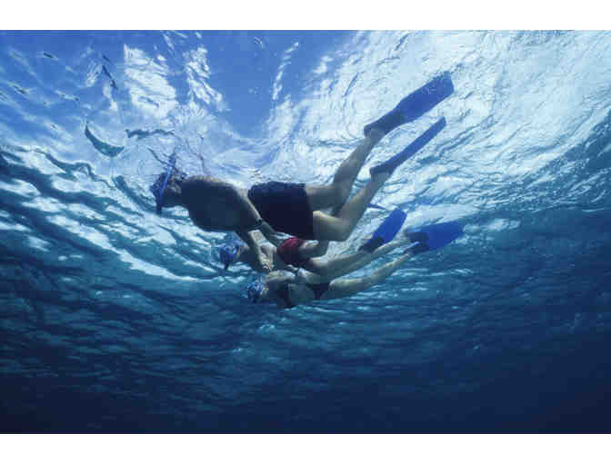 Elite Island Resorts, The Verandah Resort & Spa, Antigua