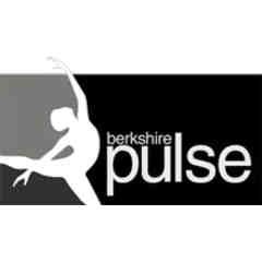Berkshire Pulse