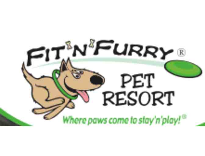 Fit 'N' Furry Pet Resort - Gift Card