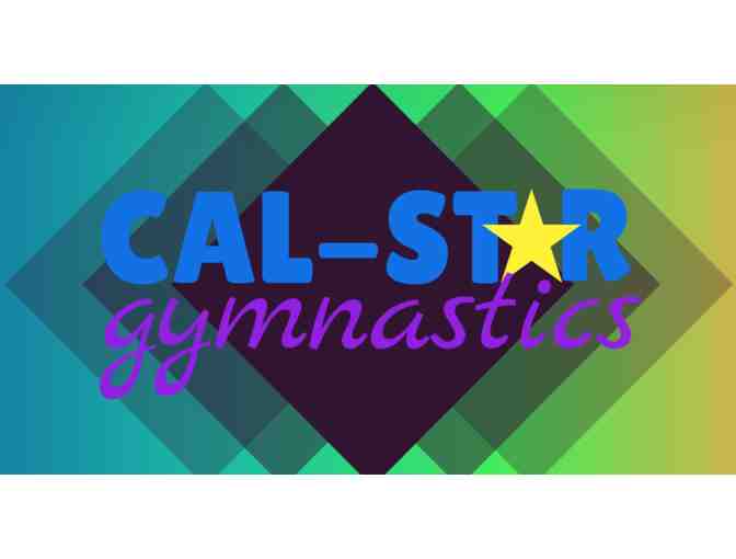 Fun for the Kids - Cal Star Gymnastics (#2)