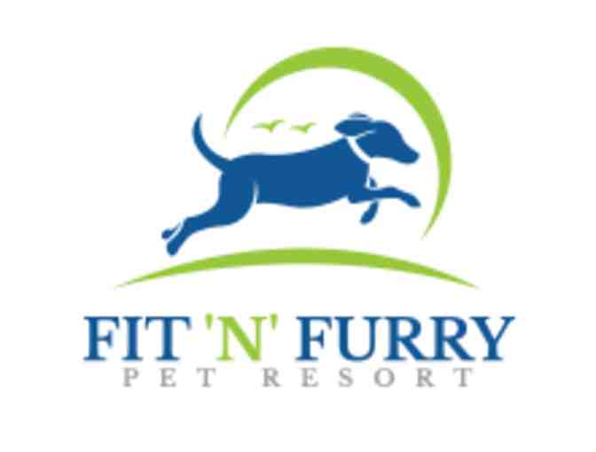 Fit 'N' Furry Pet Resort - Gift Card - Photo 1