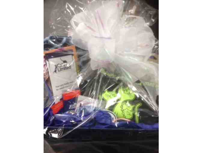 Pamper Your Cat with the 'Paws for a Cause' Gift Basket
