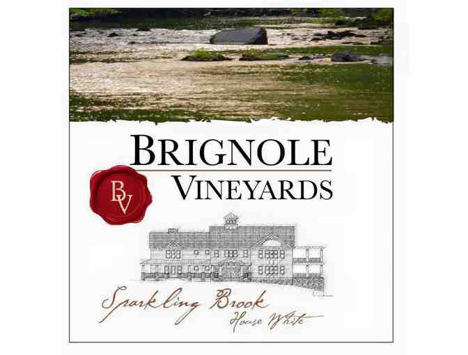 Private Wine Tasting Meal for Ten by Brignole Vineyards and Treva/A'Vert Restaurant