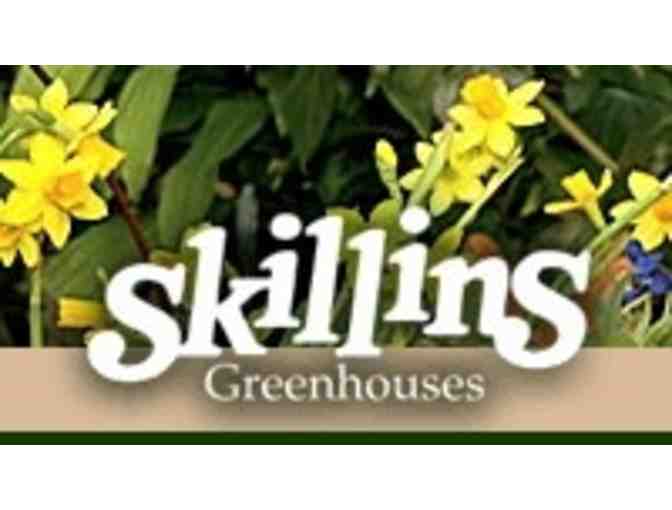 Skillins Greenhouses $25 Gift Certificate