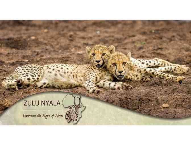South Africa Photo Safari for 2 at Zulu Nyala