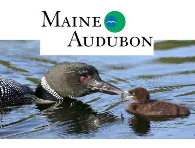 Maine Audubon Household Membership - 2014