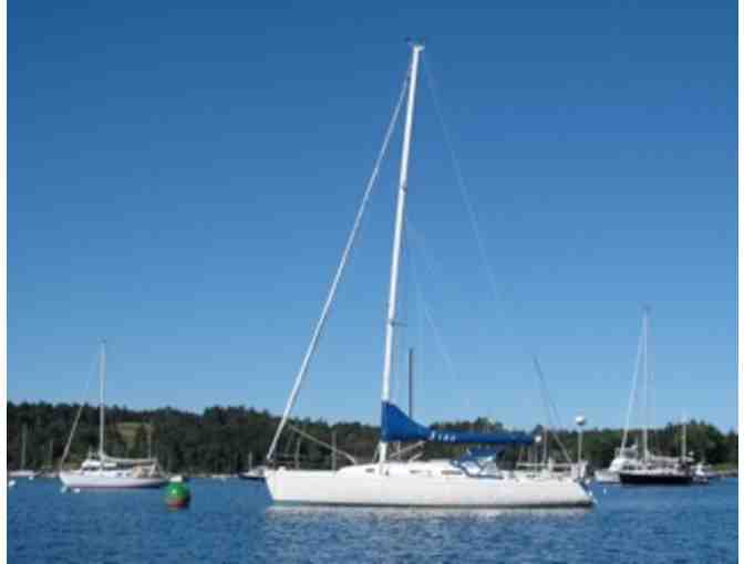 4 Hour Sailing Excursion for 4 People
