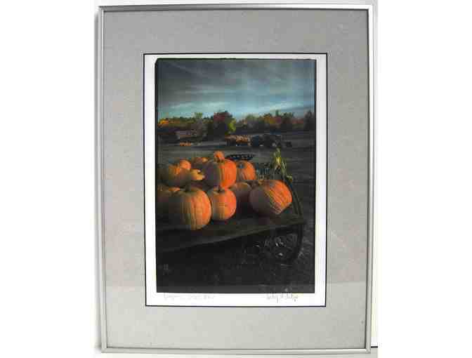 'Pumpkins... Oxford Maine' - Print by Cindy McIntyre