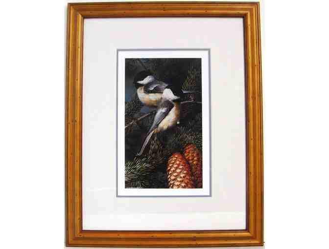 Framed Chickadee Print by Carl Breuders