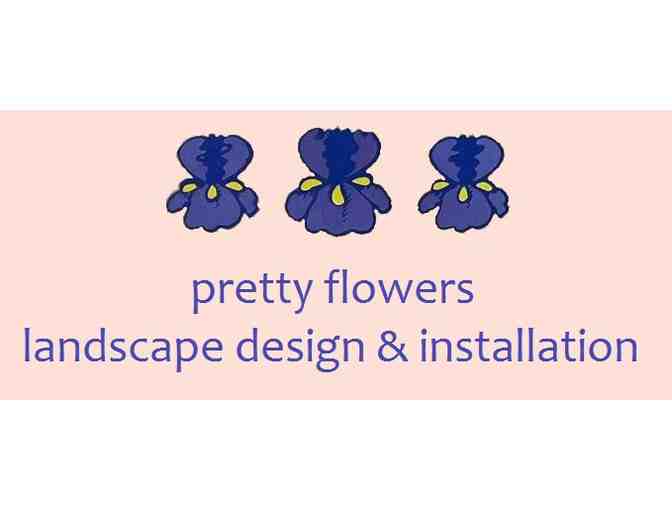 1 Hour Garden Consultation by Pretty Flowers