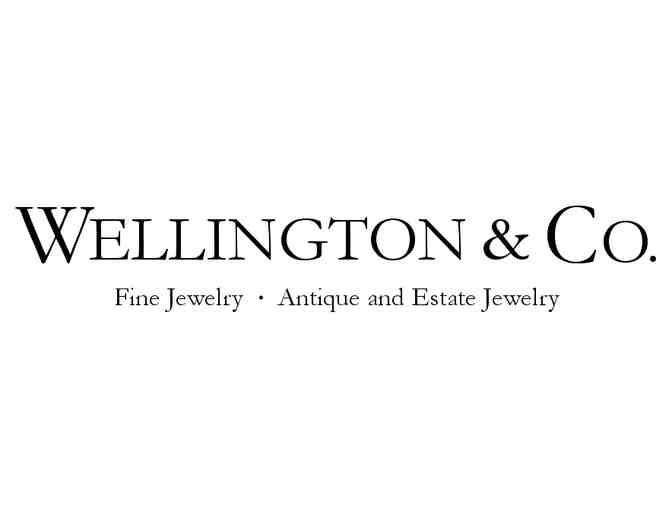 Sparkle and Shine: Wellington & Co. Fine Jewelry Raffle