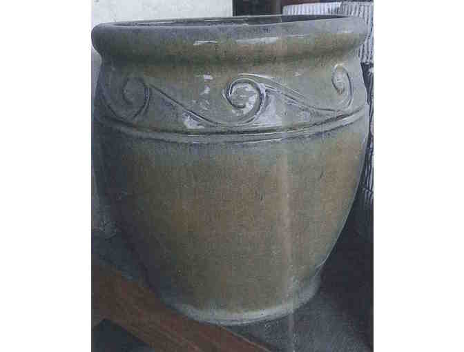 Plants for your Home