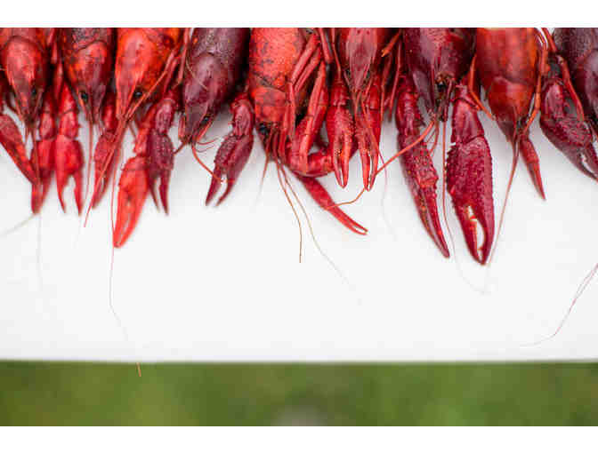 Catch & Boil your own Crawfish at Stella Plantation