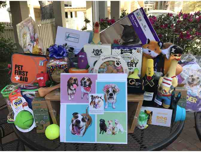 3rd Grade Class Basket - For Pampered Pooches