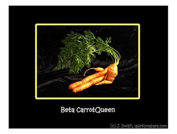 Quirky Nature carrot note cards