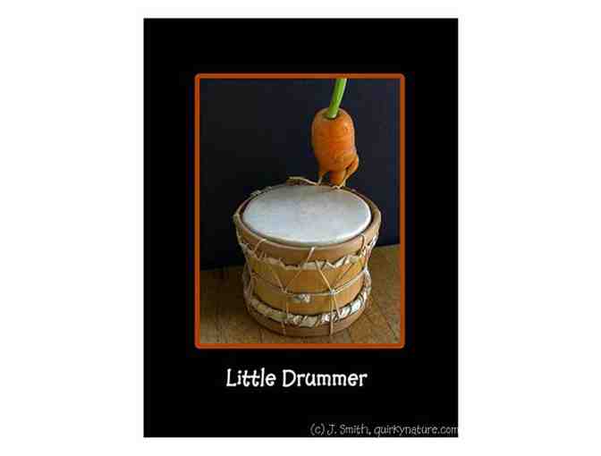 Quirky Nature carrot note cards