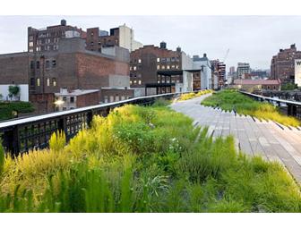 See NYC From Up 'High' with MCS 6th Grade Teacher Karen Zaidberg!